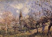 Orchard in Sping-By Alfred Sisley